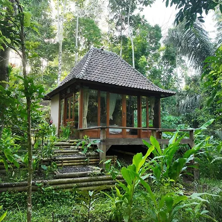 The Karu Cabin